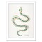 Serpent Skelet On Emerald Gold by Cat Coquillette Frame  - Americanflat